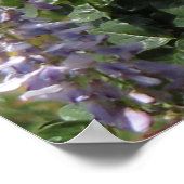 ピンクのバラと紫の藤 ポスター (角)