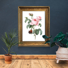 ピンクのバラと蝶 ポスター