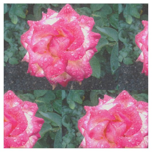 ピンクのバラと雨粒の織物 ファブリック (クローズアップ)