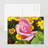 ピンクのバラと黄色の花 ポストカード (正面/裏面)
