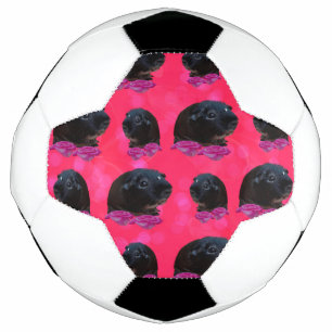 ピンクのバラと黒モルモット サッカーボール
