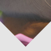 ピンクのバラに可愛らしいコーギパップ 薄葉紙 (詳細)