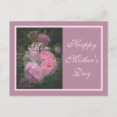 ピンクのバラのお母さんの日はがき ポストカード (正面)