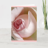 ピンクのバラのつぼみの挨拶状 カード (正面)