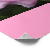 ピンクのバラのアートフローラの花のポ感動的スター ポスター (角)