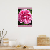 ピンクのバラのキャベツフラワーガーデンポスター ポスター (キッチン)