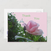 ピンクのバラのクローズアップ感謝のポストカード ポストカード (正面/裏面)