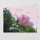 ピンクのバラのクローズアップ感謝のポストカード ポストカード (正面)