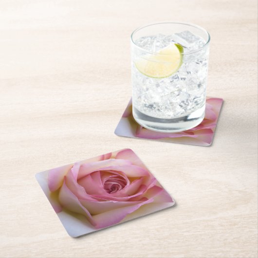 ピンクのバラのコースター スクエアペーパーコースター (インサイチュ)