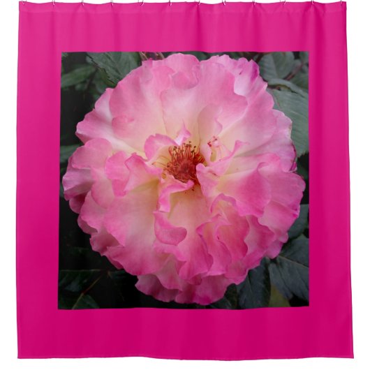 ピンクのバラのシャワー・カーテン シャワーカーテン (正面)