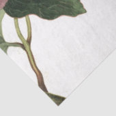 ピンクのバラのジャンクジャーナル要素シート 薄葉紙 (詳細)