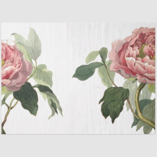 ピンクのバラのジャンクジャーナル要素シート 薄葉紙 (正面)