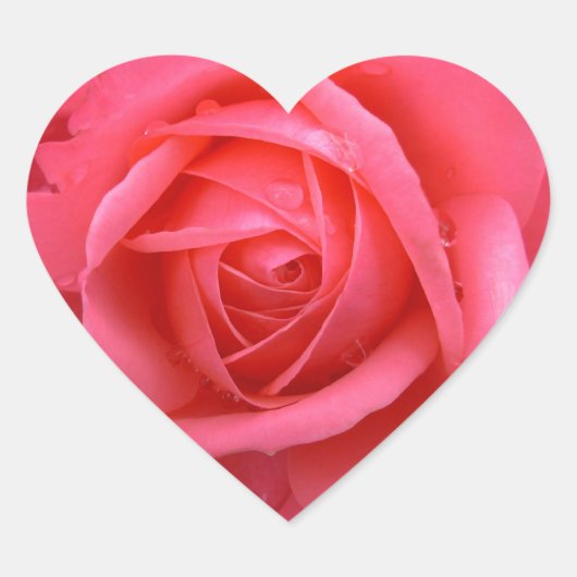 ピンクのバラのステッカーピンクのバラのギフト記念 ハートシール (正面)