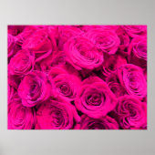 ピンクのバラのピンクの花ピンクのフローラ ポスター (正面)