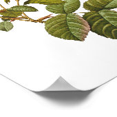 ピンクのバラのプリントアートワークヴィンテージ ポスター (角)