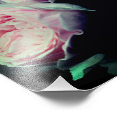 ピンクのバラのペア8x10 フォトプリント            (角)