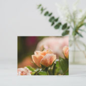 ピンクのバラのポストカード ポストカード (スタンド正面)