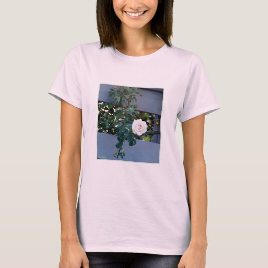 ピンクのバラのレディースTシャツ Tシャツ (正面)