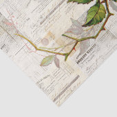 ピンクのバラのヴィンテージのフランスのな執筆ティッシュペーパー 薄葉紙 (詳細)