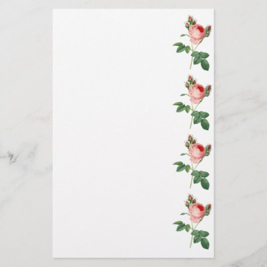 ピンクのバラのヴィンテージの植物のイラストレーションのボーダー 便箋 (正面)