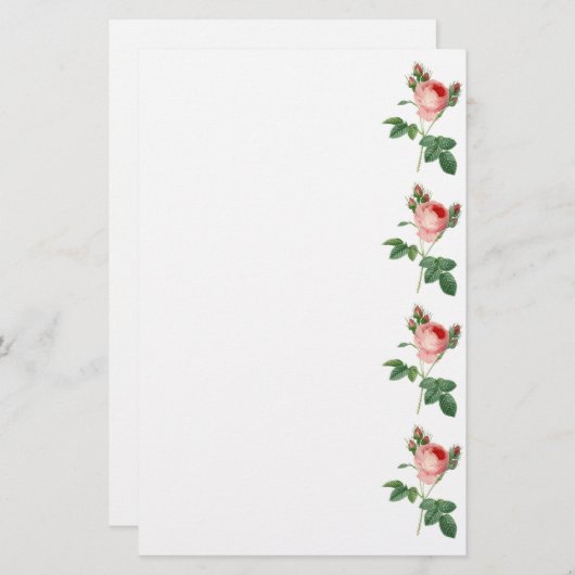 ピンクのバラのヴィンテージの植物のイラストレーションのボーダー 便箋 (正面/裏面)