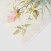 ピンクのバラのヴィンテージ 薄葉紙 (詳細)