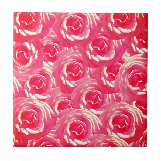 ピンクのバラの写真セラミックフォトタイル タイル (正面)