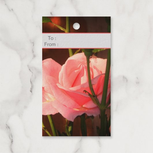 ピンクのバラの写真 – ハンガリーの名前の日 – 贅沢 ギフトタグ (裏面)