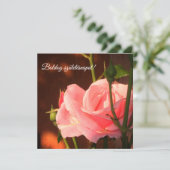 ピンクのバラの写真 – ハンガリーの誕生日 (スタンド正面)