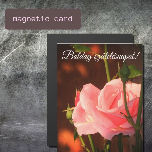 ピンクのバラの写真 – ハンガリーの誕生日