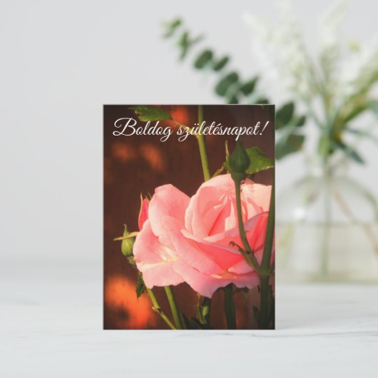 ピンクのバラの写真 – ハンガリーの誕生日 ポストカード (スタンド正面)