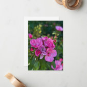 ピンクのバラの房 ノートカード (正面/裏面インサイチュ)