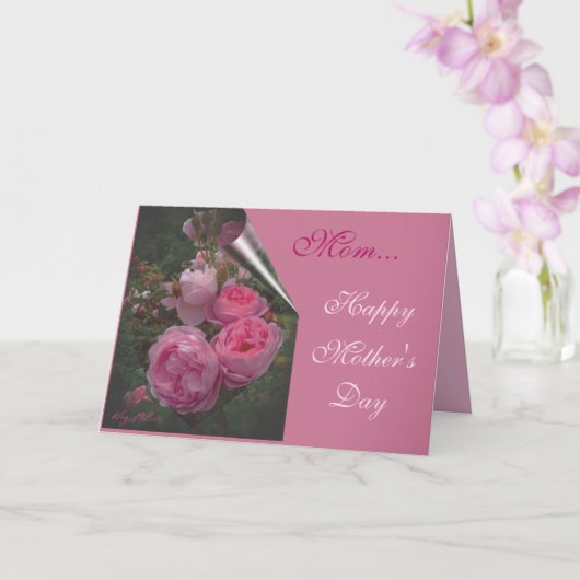 ピンクのバラの母の日カード カード (蘭)