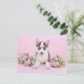 ピンクのバラの美しいハスキーの子犬 ポストカード (スタンド正面)