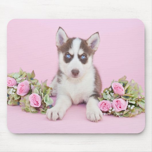 ピンクのバラの美しいハスキーの子犬 マウスパッド (正面)