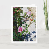 ピンクのバラの肖像 カード (正面)