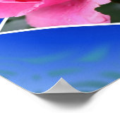 ピンクのバラの花がバウンズアートから ポスター (角)