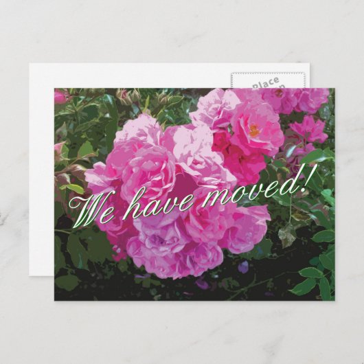 ピンクのバラの花が咲く、かわいい動くポストカード 案内ポストカード (正面/裏面)