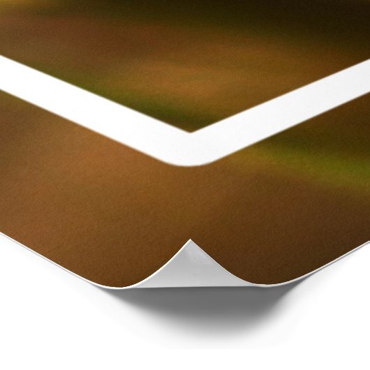 ピンクのバラの花と蝶のデジタル絵を描の ポスター (角)