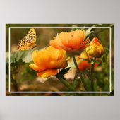 ピンクのバラの花と蝶のデジタル絵を描の ポスター (正面)