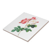 ピンクのバラの花のヴィンテージの植物のプリント タイル (側面)