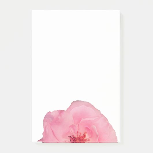 ピンクのバラの花の写真ノート ポストイット (正面)
