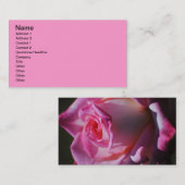 ピンクのバラの花の名刺 名刺 (正面/裏面)