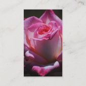 ピンクのバラの花の名刺 名刺 (裏面)