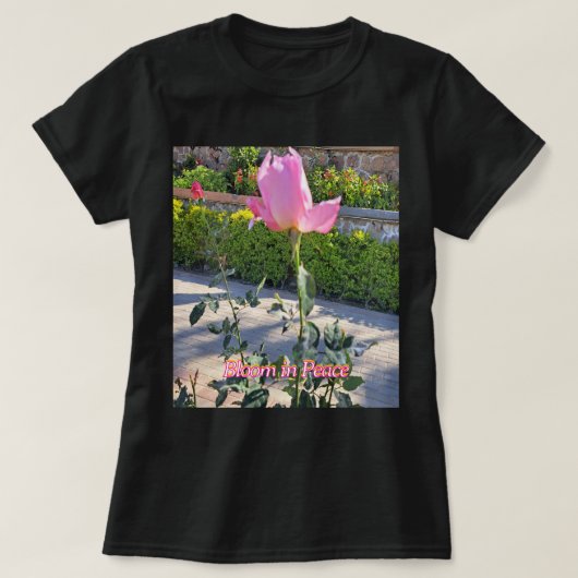 ピンクのバラの花の女性用Tシャツ 平和に咲く Tシャツ (デザイン正面)
