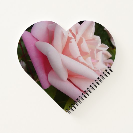 ピンクのバラの花の美しい庭のフローラ女の子の名前 ノートブック (裏面)