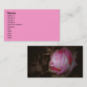 ピンクのバラの花のAveryの名刺 名刺 (正面/裏面)
