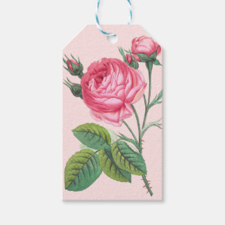 ピンクのバラの花ギフトタグ ギフトタグ
