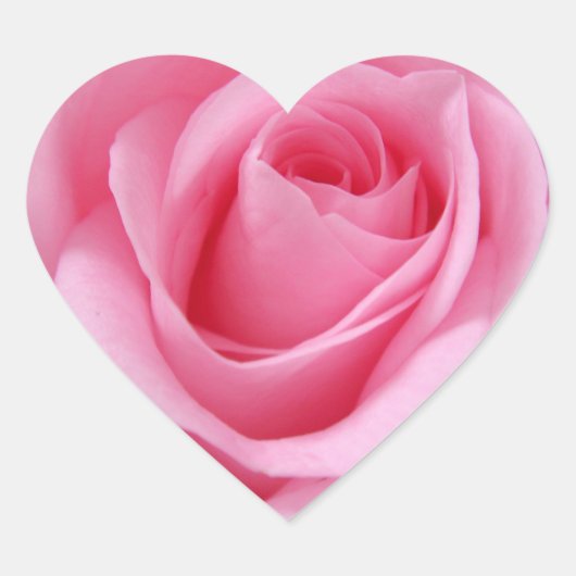 ピンクのバラの花クローズアップ写真 ハートシール (正面)