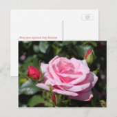 ピンクのバラの花ハッピーバースデー。愛、ガールフレンド ポストカード (正面/裏面)